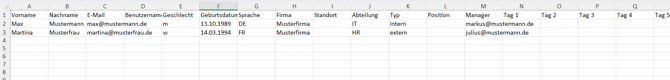 Excel-Template 1