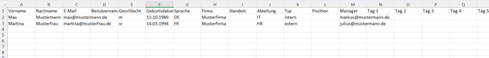 Excel-Template 1
