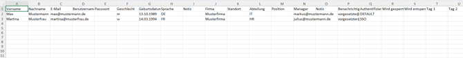 Excel-Template