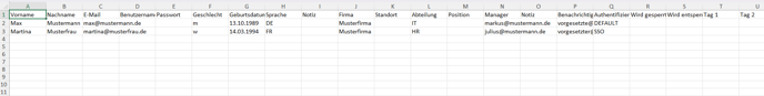 Excel-Template